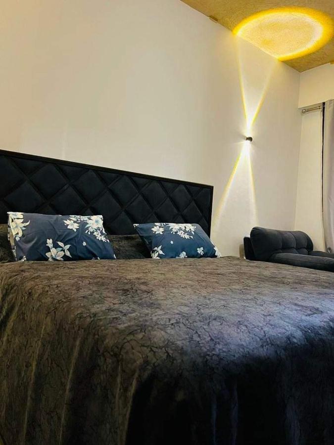 Apartament Jungle *