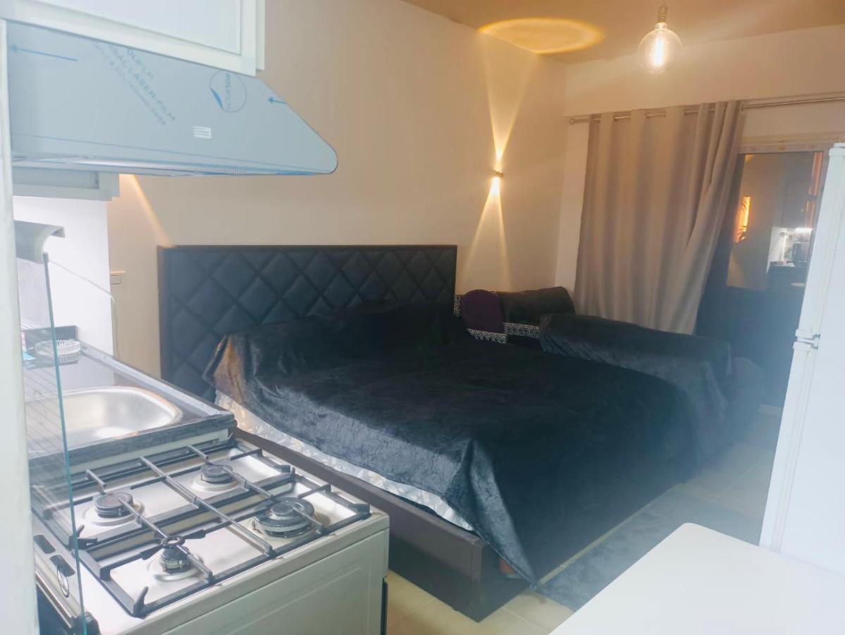 Apartament Jungle *